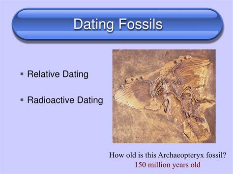what assumption is made during the relative dating of fossils